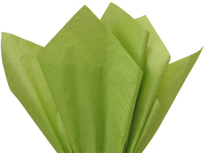 Bright Lime Tissue Paper Squares, Bulk 10 Sheets, Premium Gift Wrap and Art Supplies for Birthdays, Holidays, or Presents by A1BakerySupplies, Small 15 Inch x 20 Inch